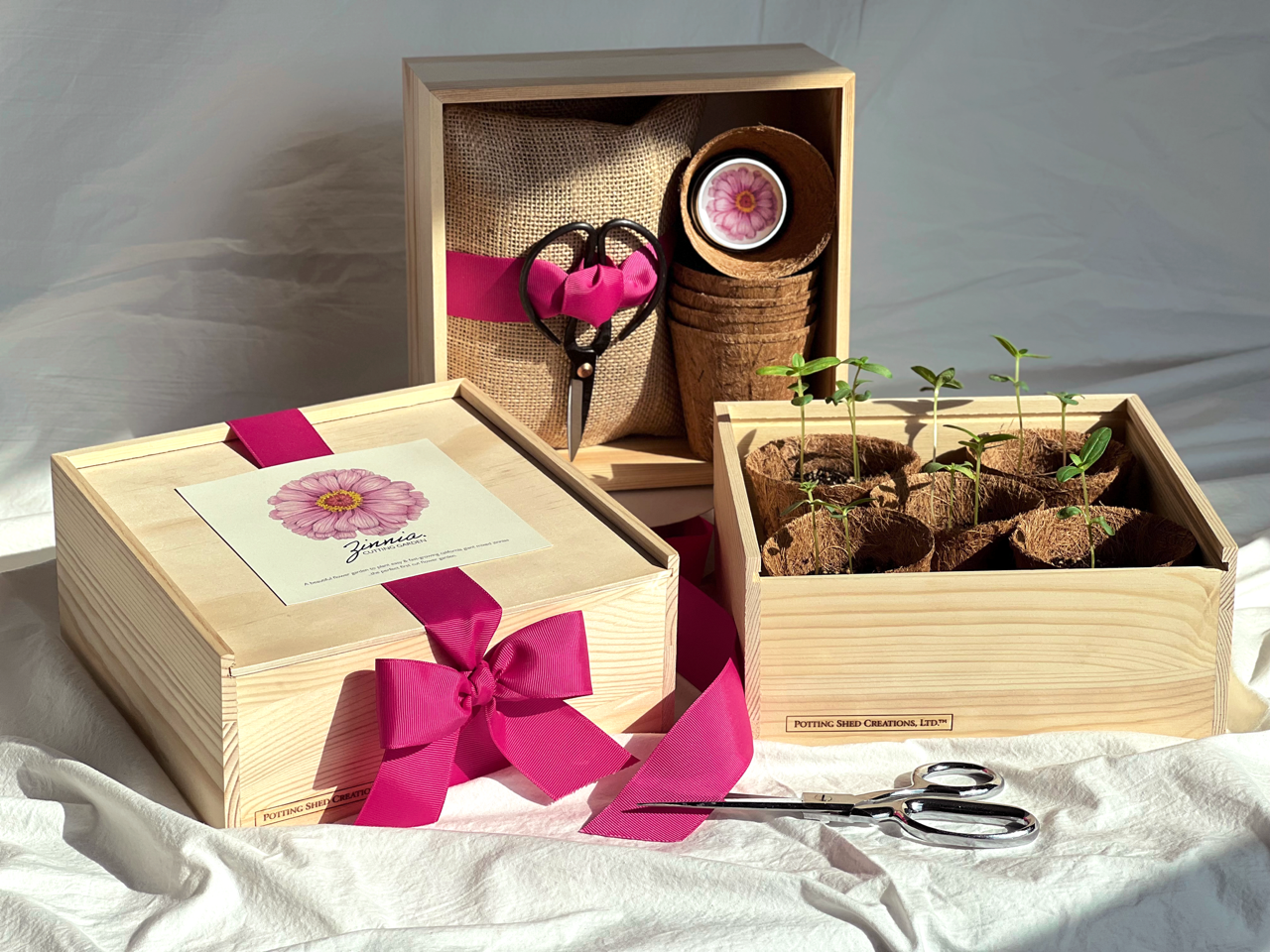 Culinary Herb Kit | Mother's Day