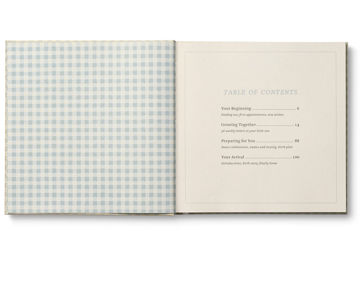 Expecting You Pregnancy Journal