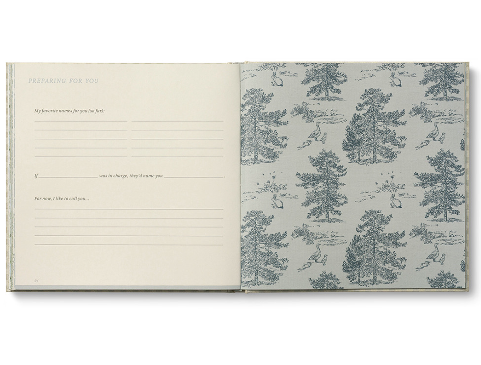 Expecting You Pregnancy Journal