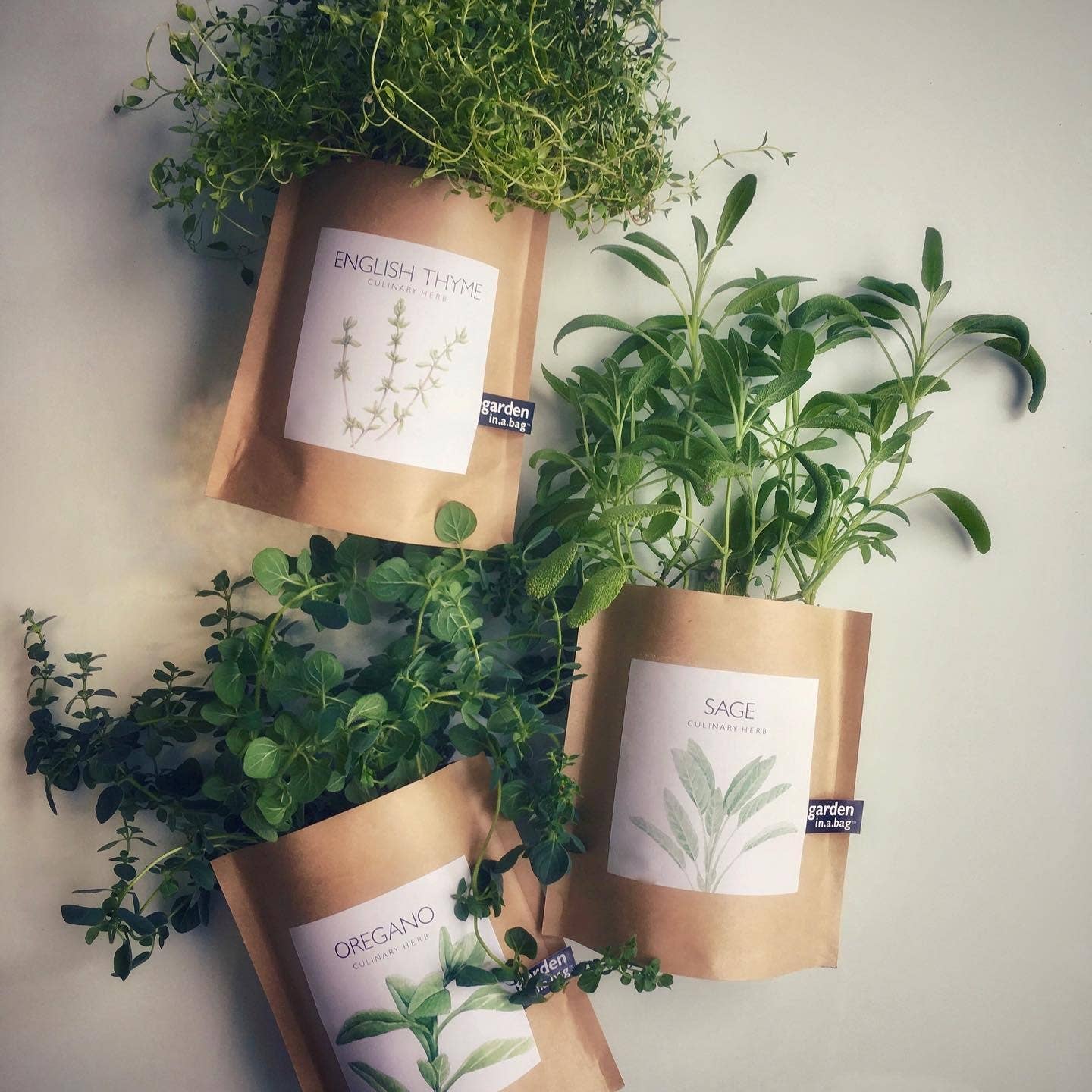 Garden in a Bag | English Thyme Kitchen Garden Gift
