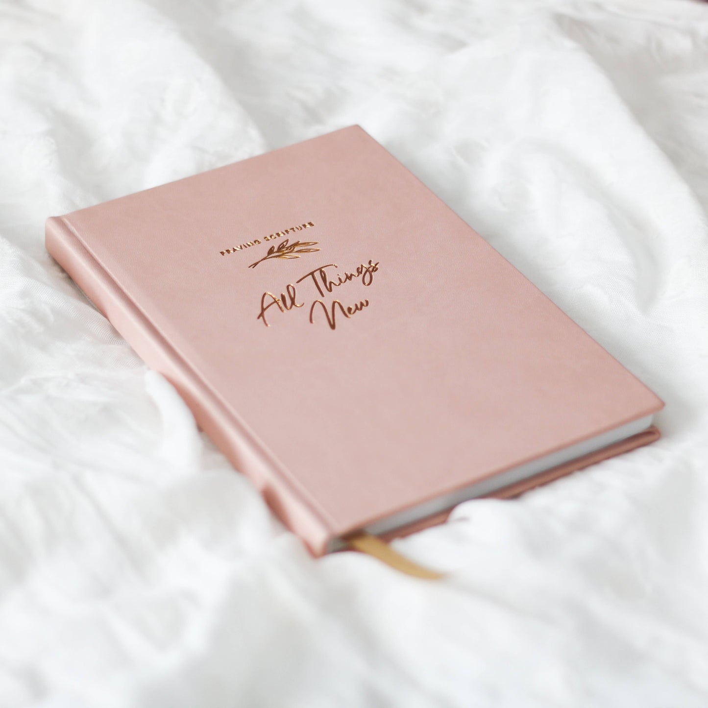 All Things New  - Praying Scripture Journal