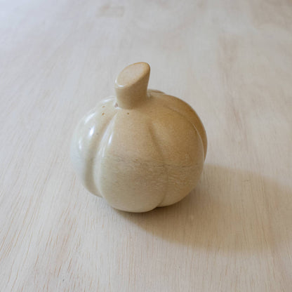 Natural Small Pumpkin