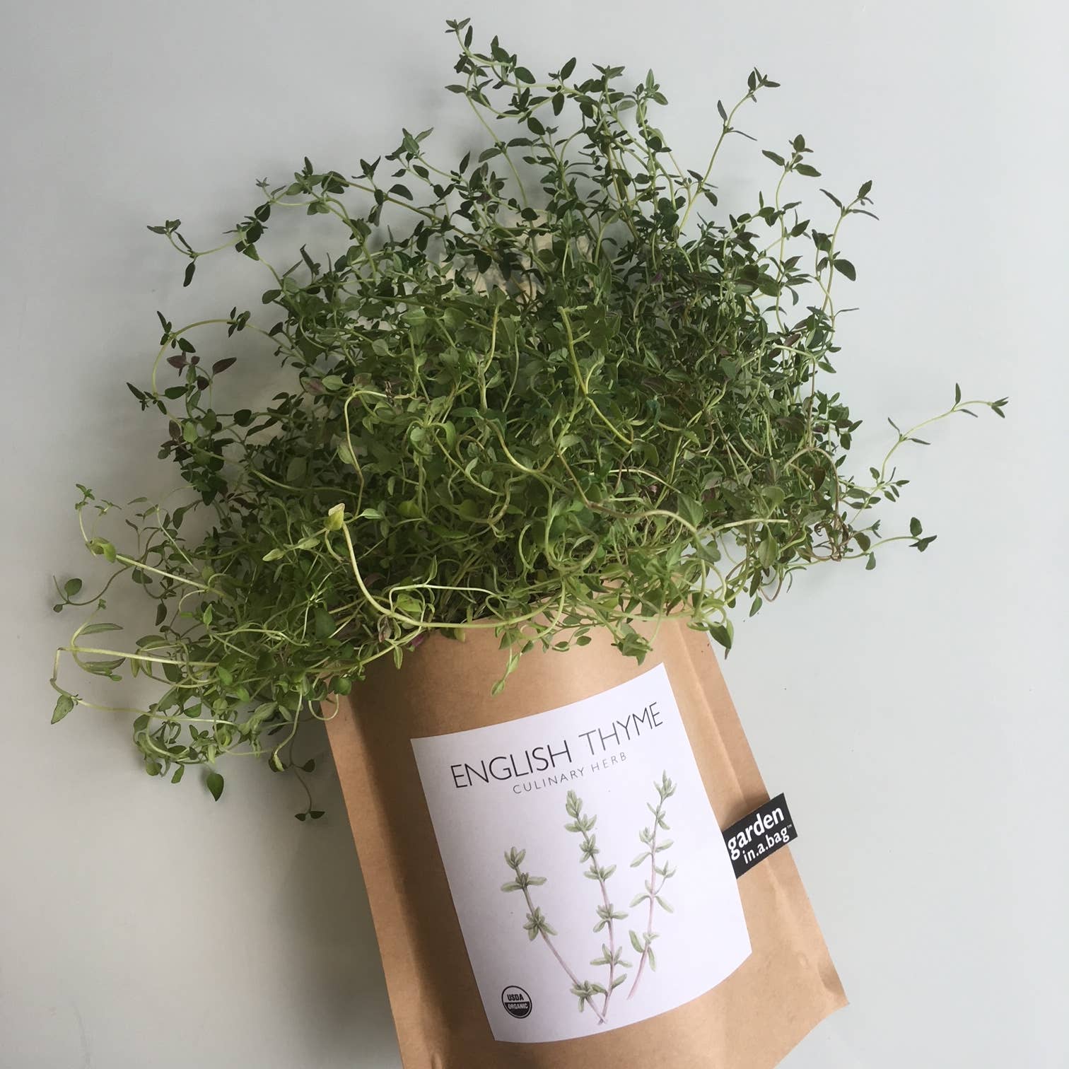 Garden in a Bag | English Thyme Kitchen Garden Gift