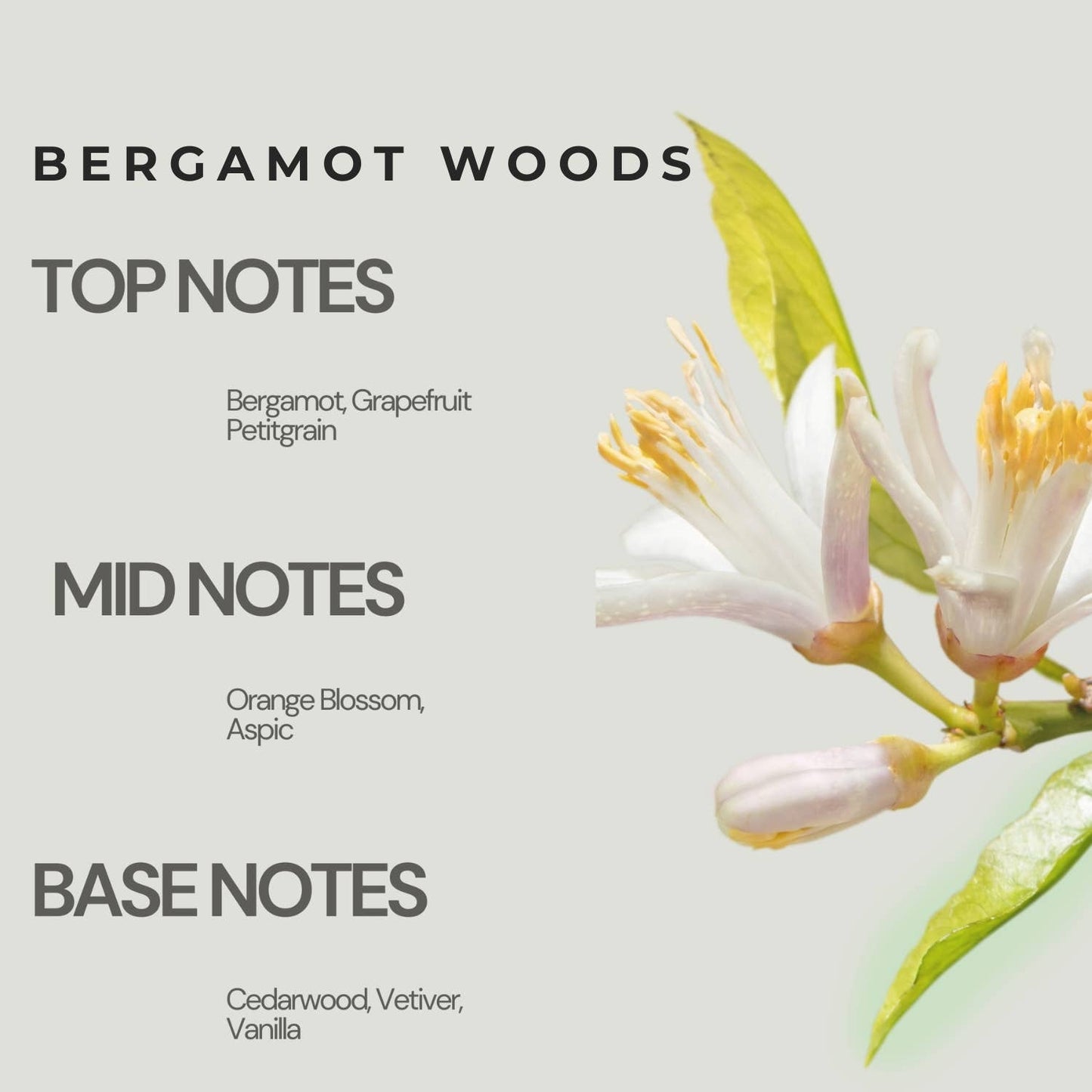 Bergamot Woods Luxury Travel Perfume Spray