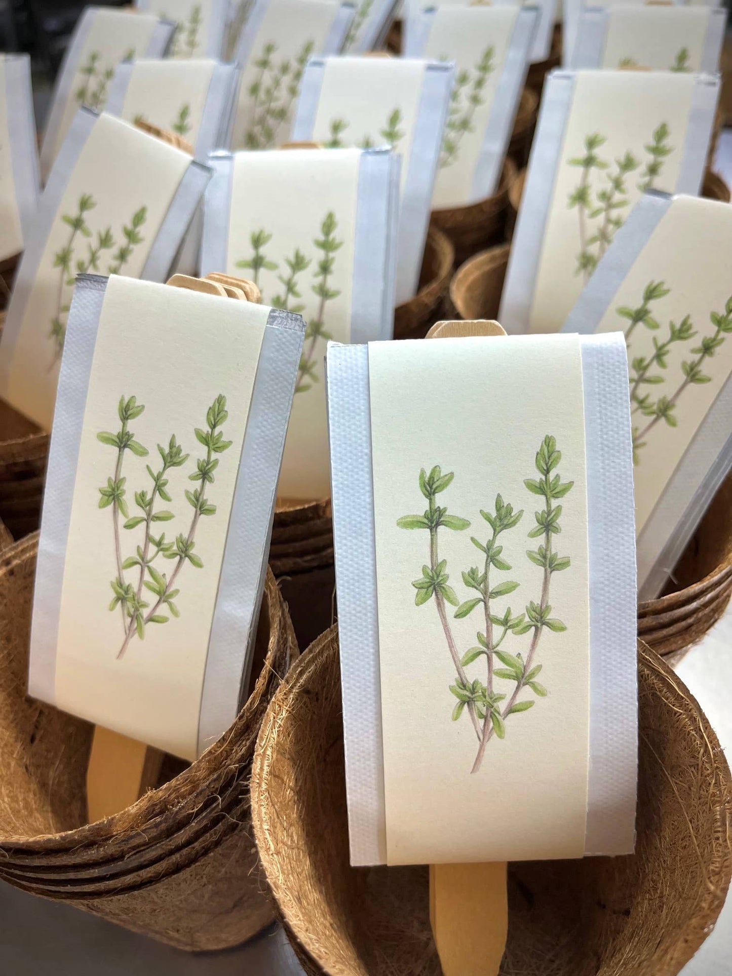 Culinary Herb Kit | Mother's Day
