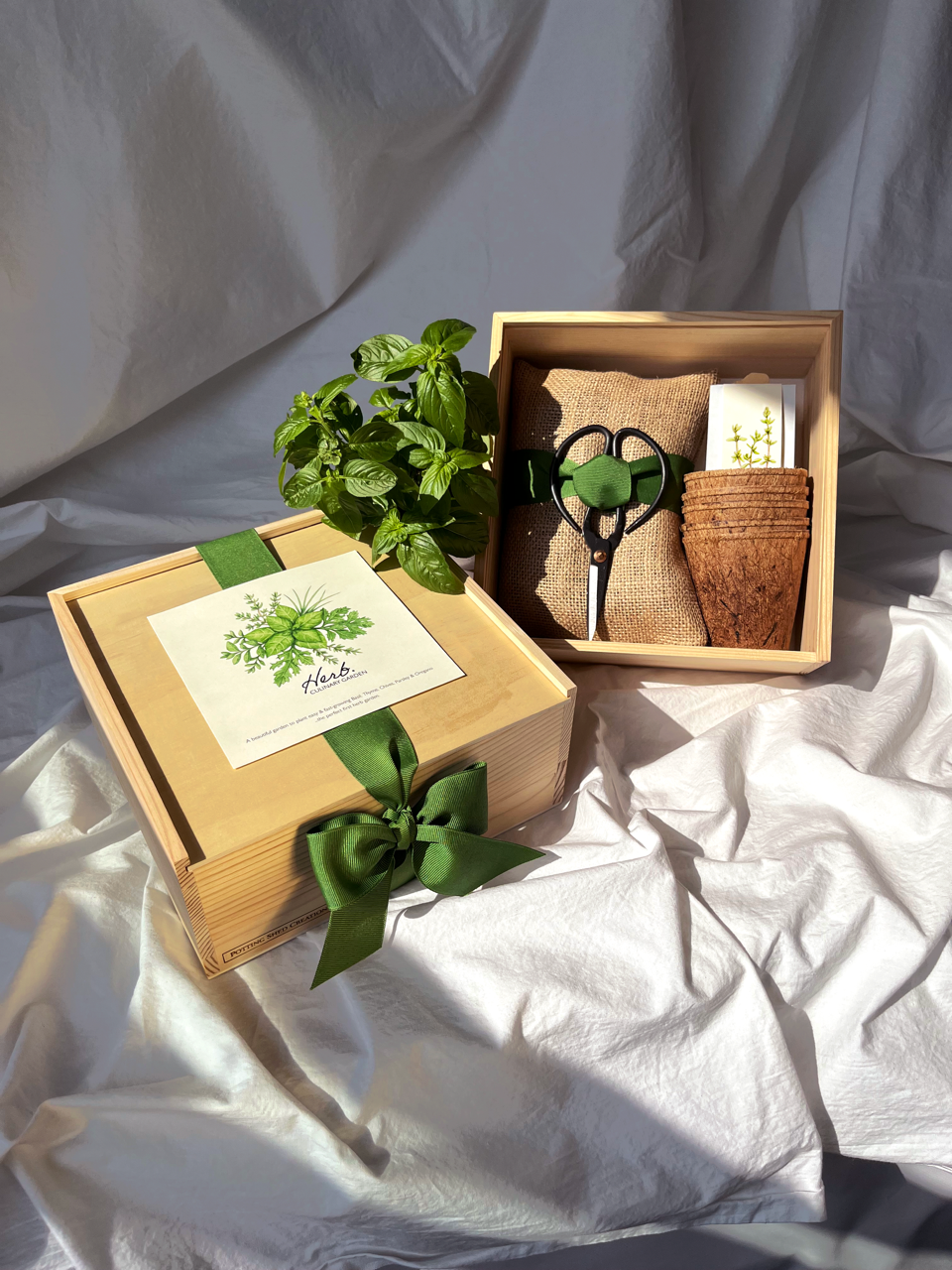 Culinary Herb Kit | Mother's Day