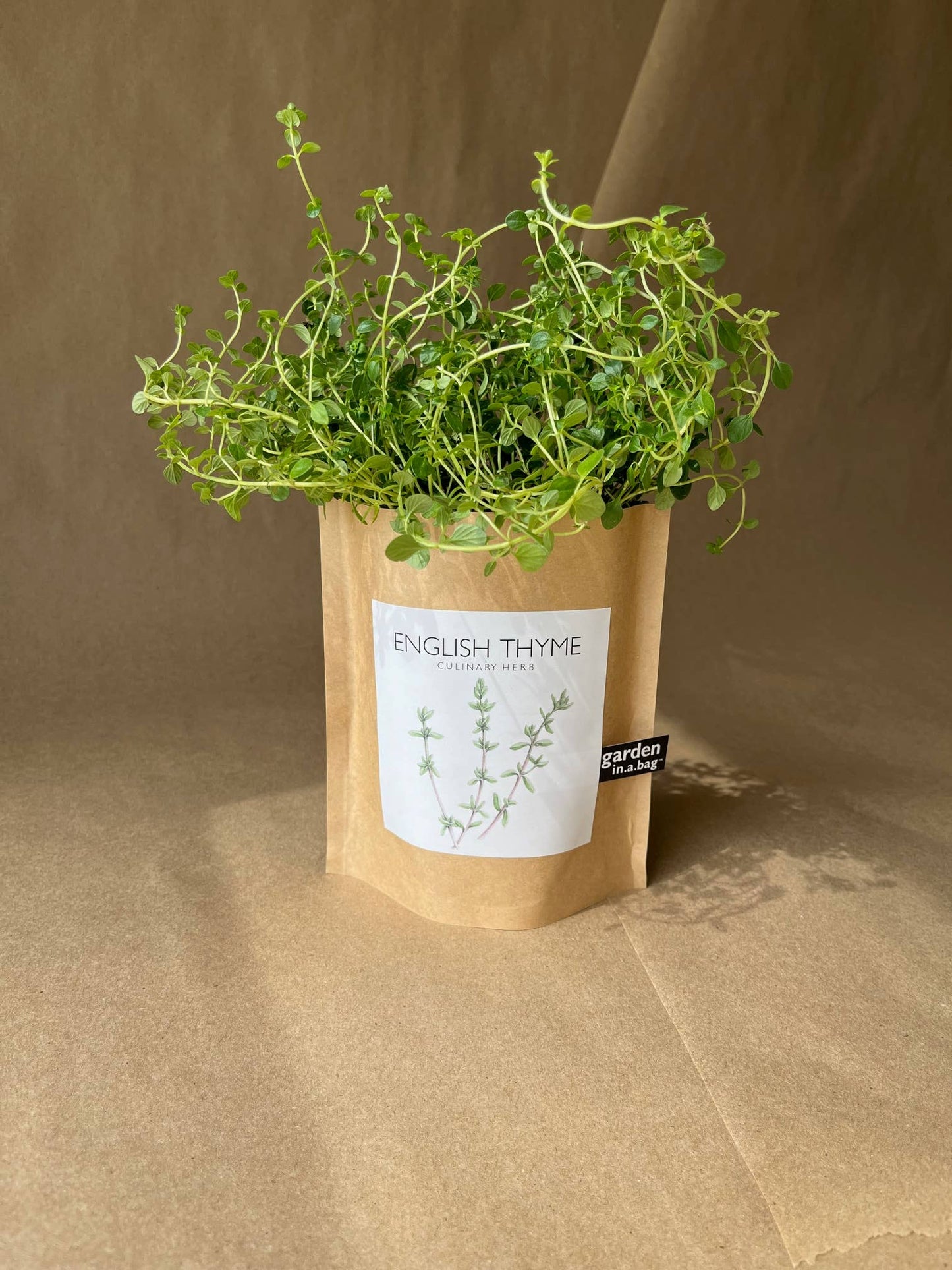 Garden in a Bag | English Thyme Kitchen Garden Gift