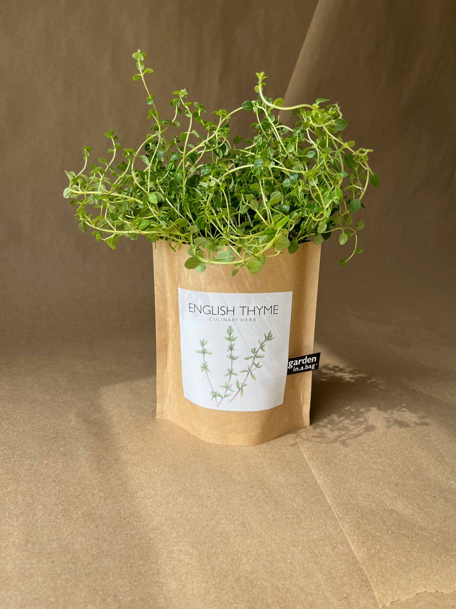 Garden in a Bag | English Thyme Kitchen Garden Gift