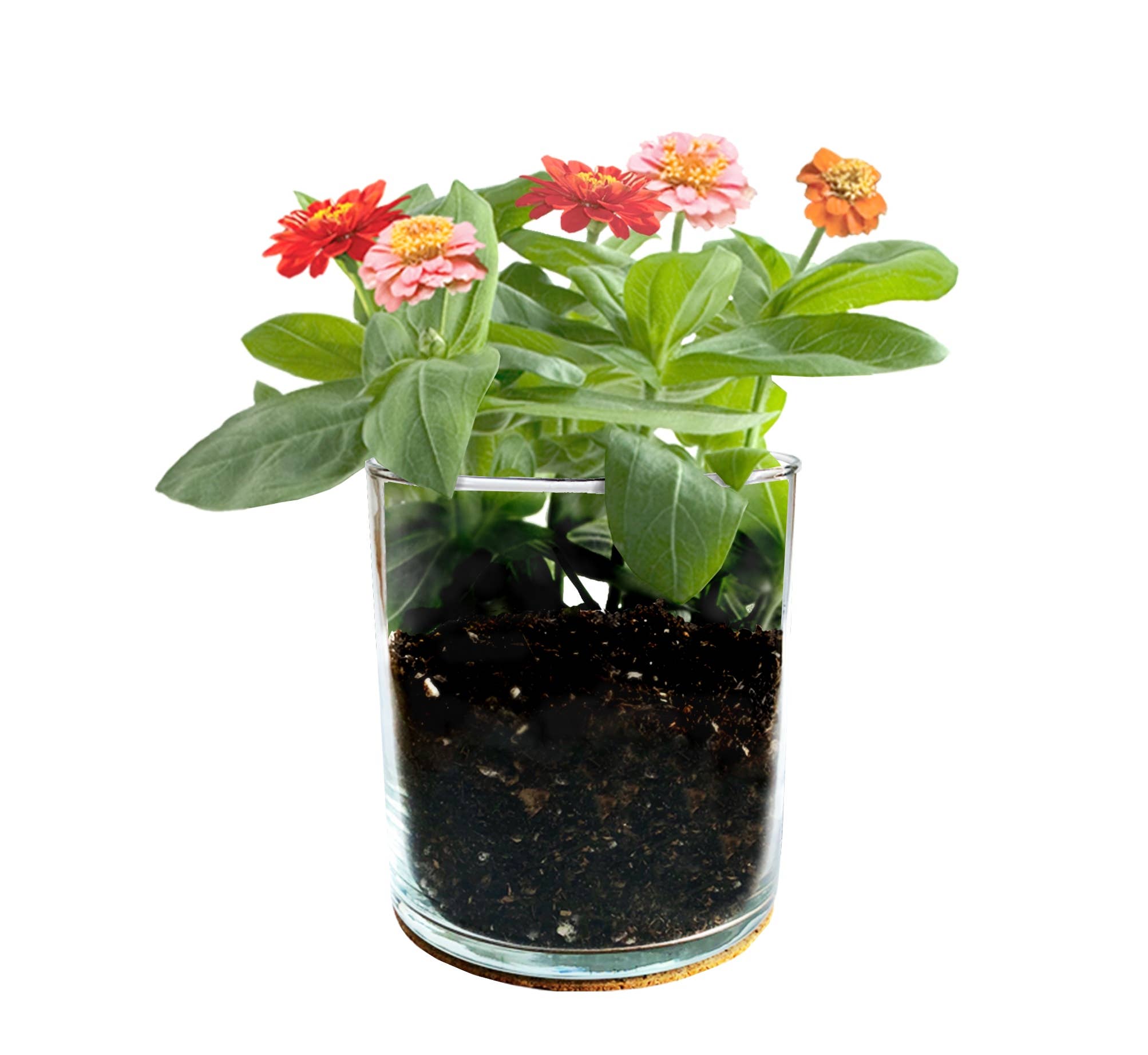 Mom Flower Garden Mother&