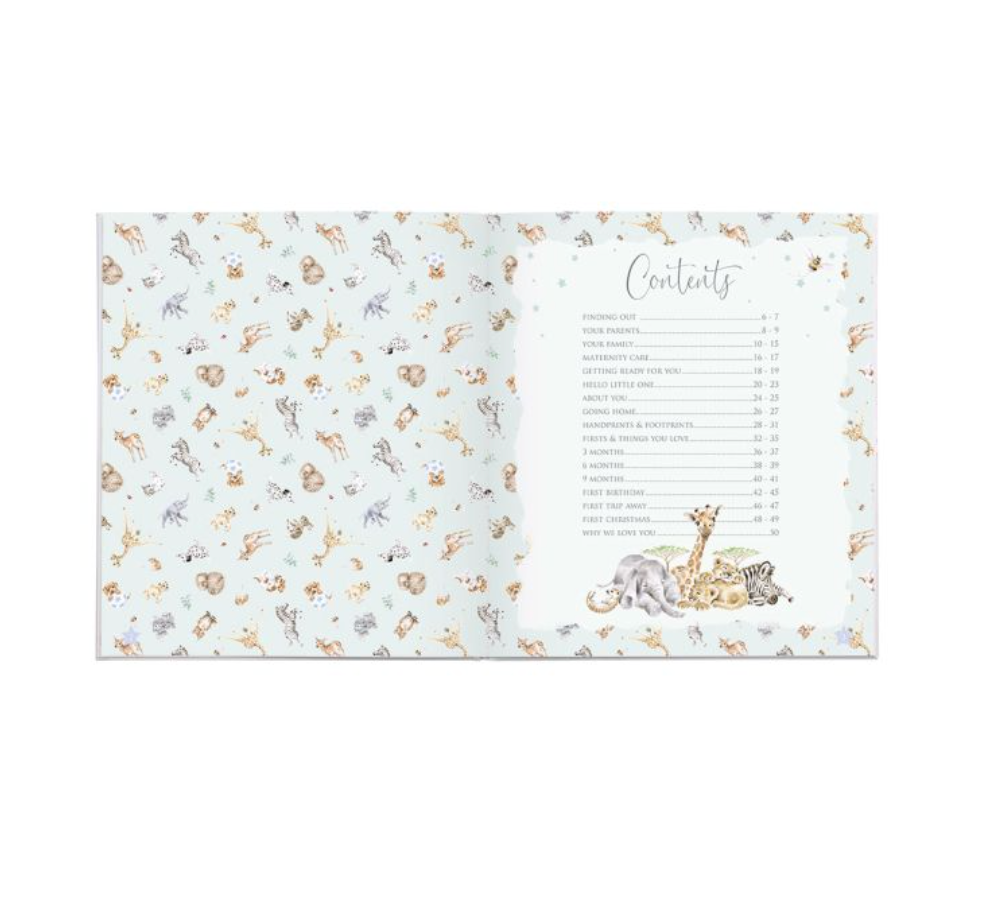 Baby Milestones Record Book