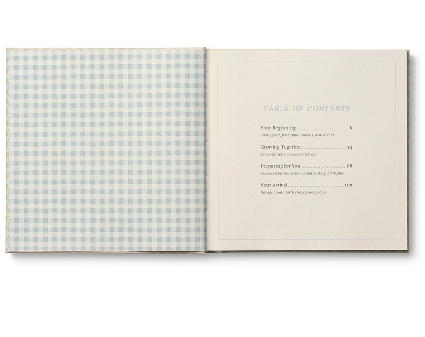 Expecting You Pregnancy Journal