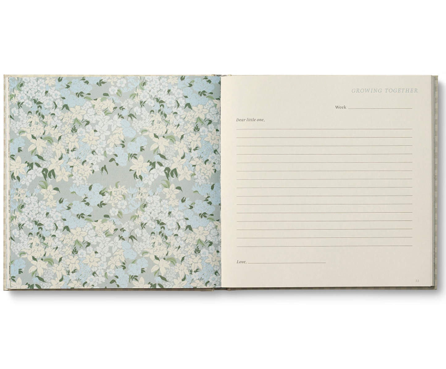 Expecting You Pregnancy Journal