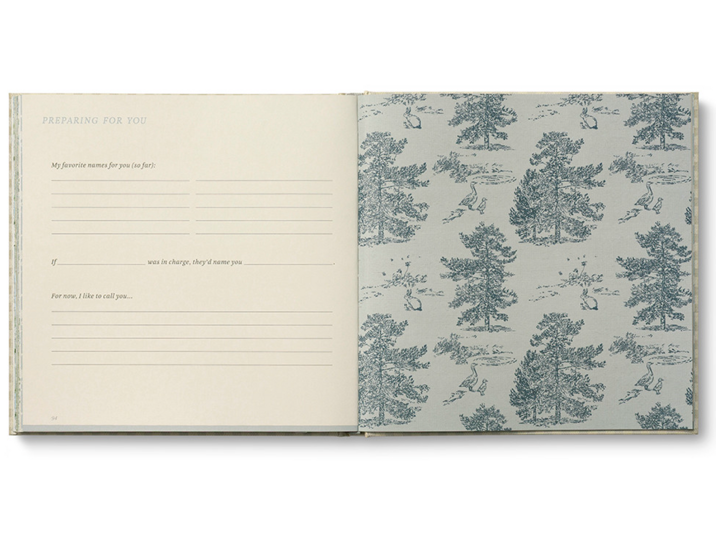 Expecting You Pregnancy Journal