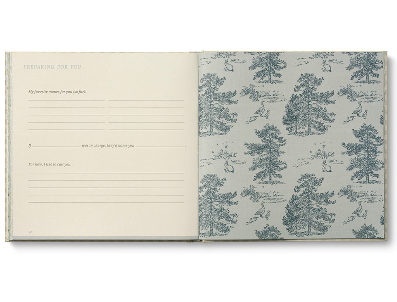 Expecting You Pregnancy Journal