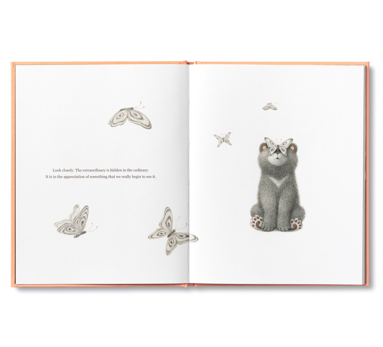 Feeling Grateful Bear Book