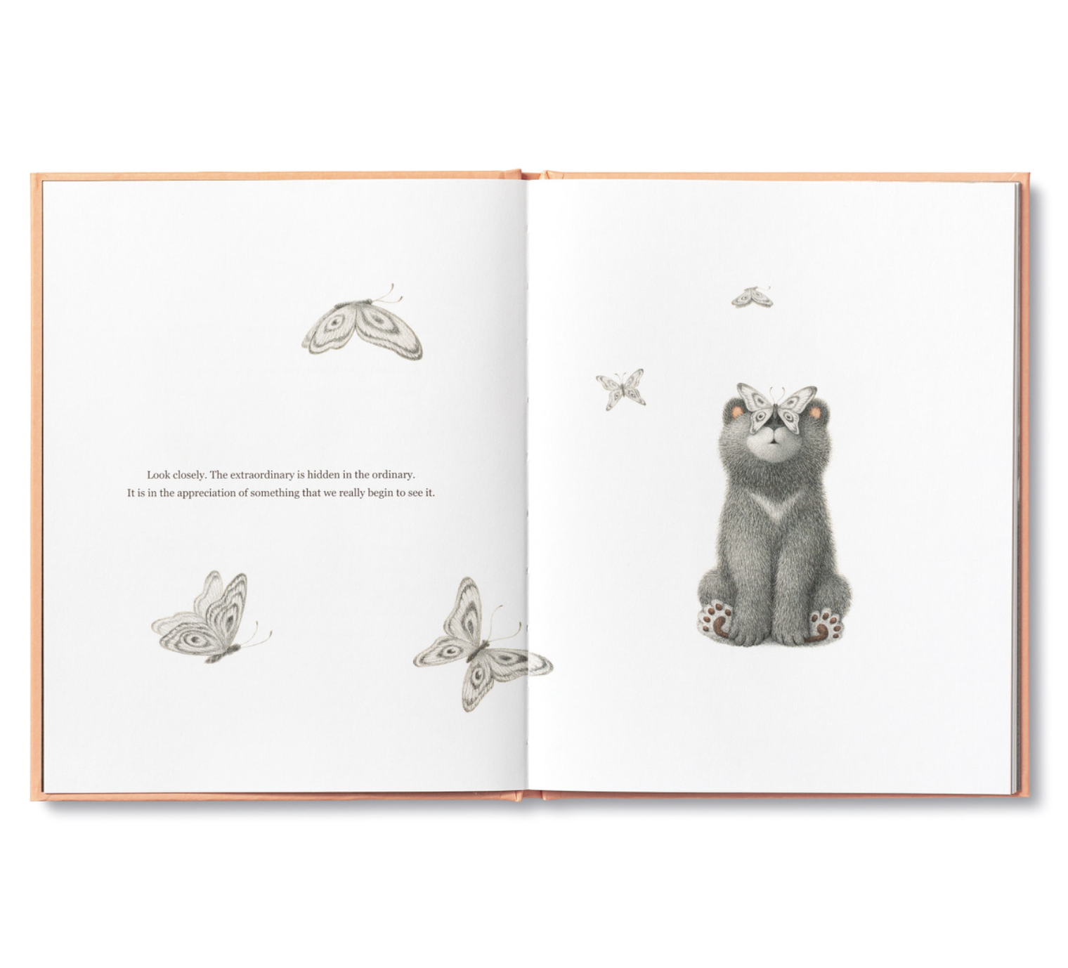 Feeling Grateful Bear Book