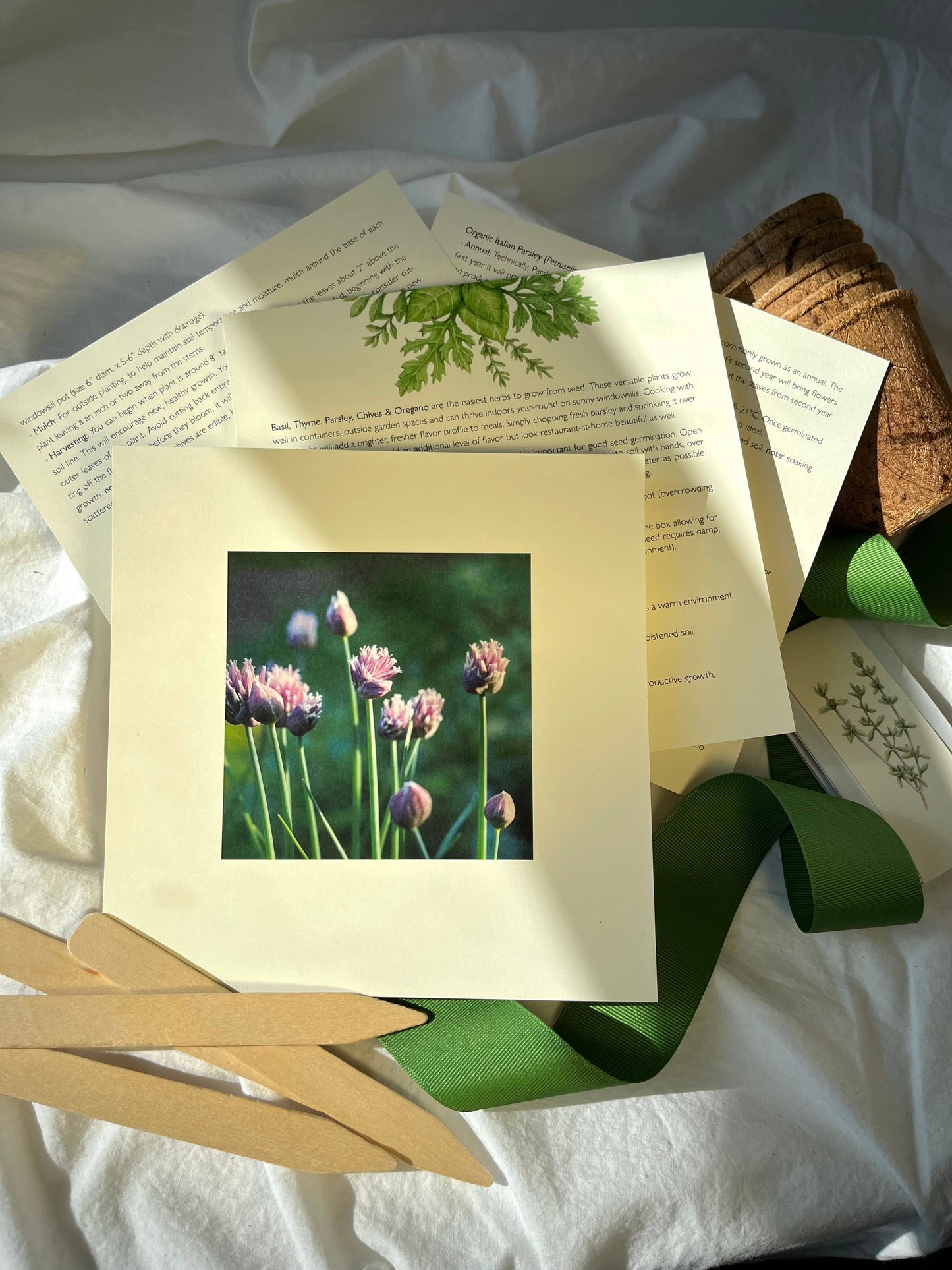 Culinary Herb Kit | Mother's Day