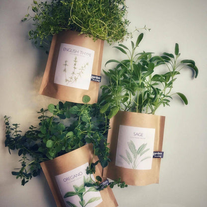 Garden in a Bag | English Thyme Kitchen Garden Gift