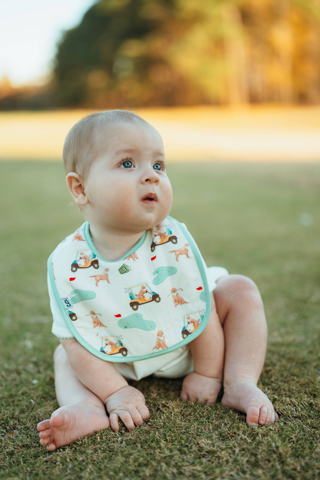 Barks &amp; Birdies (Golf Dogs) Bib Set