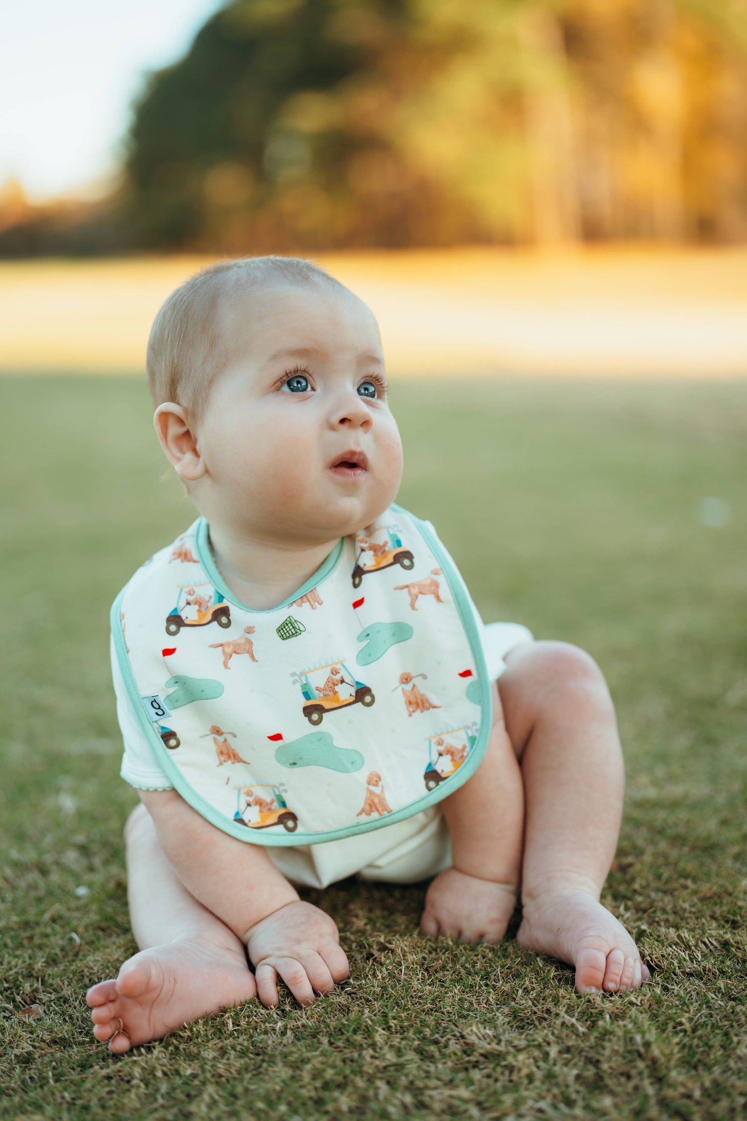 Barks &amp; Birdies (Golf Dogs) Bib Set