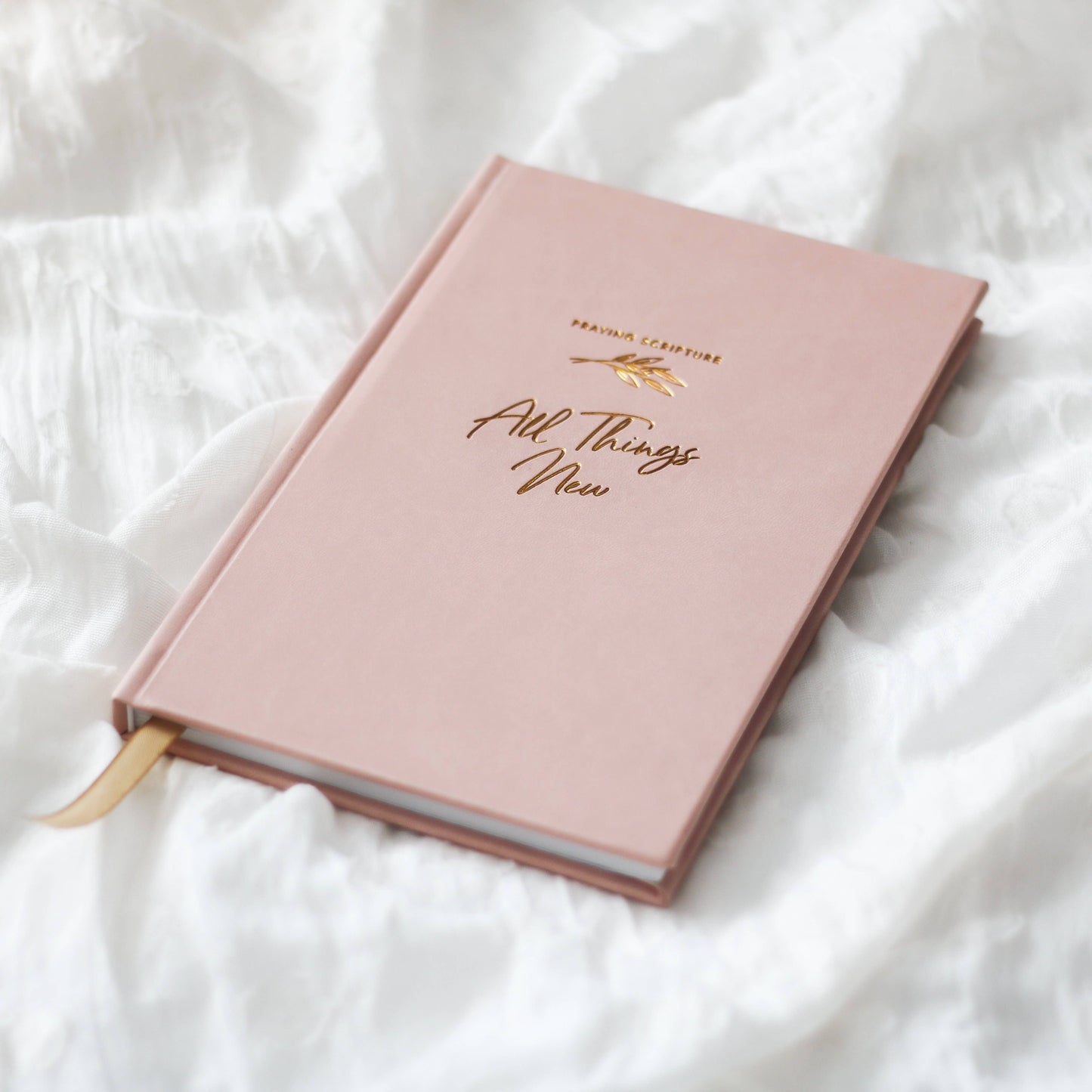 All Things New  - Praying Scripture Journal