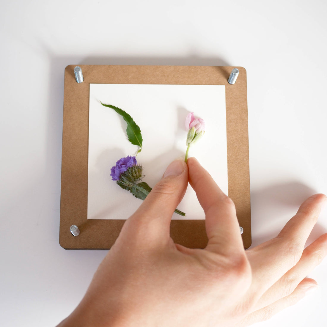 Flower Press Kit - Preserve Florals