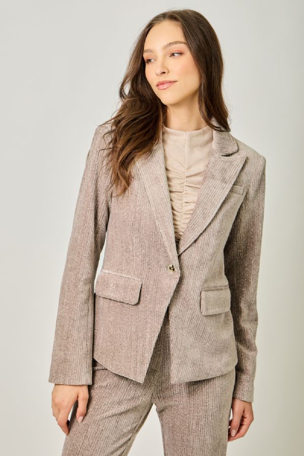 Velvet Cappuccino Blazer