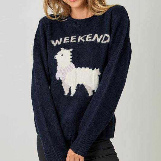 Navy Alpaca Weekend Sweater